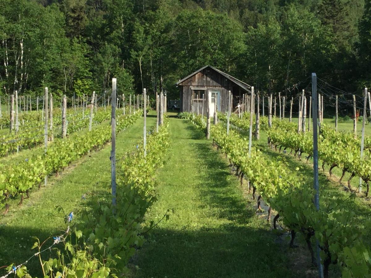 Chalet Saint-Thomas LʼAnse-Saint-Jean Extérieur photo